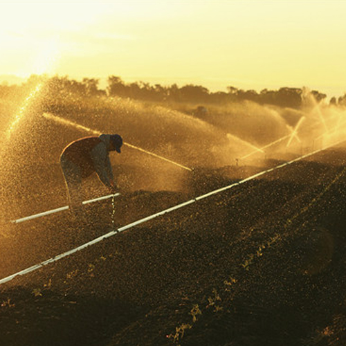 Erosion Control