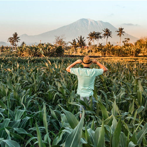 Agriculture