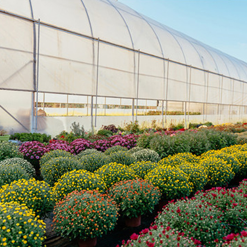 Nursery&Greenhouse